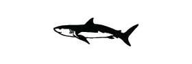 Shark Sticker 38