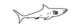 Shark Sticker 282
